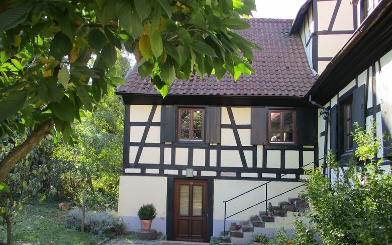 Hotel Domaine Du Moulin En Alsace