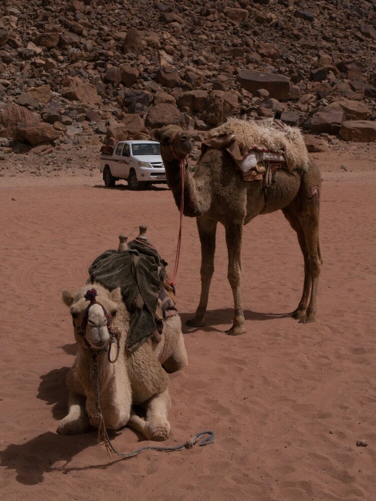 Magic Bedouin Star
