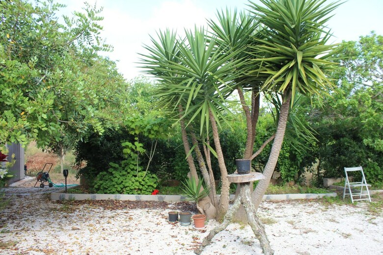 Bed & Breakfast La Lanterna Delle Fate