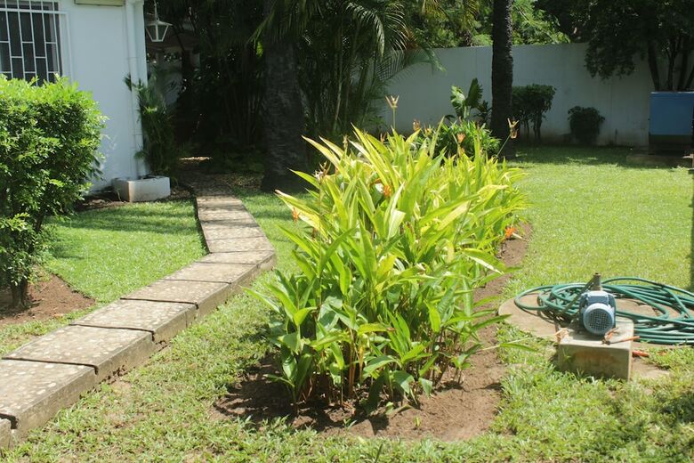 Hotel Ets Nenthol B�nin