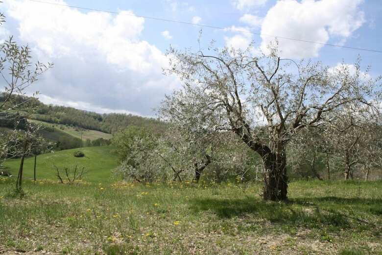 Agroturismo Verdidea - Podere Della Bruciata