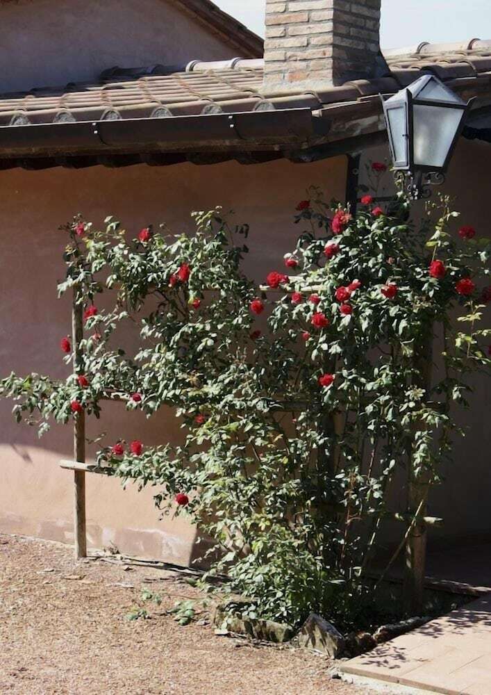 Agroturismo Verdidea - Podere Della Bruciata