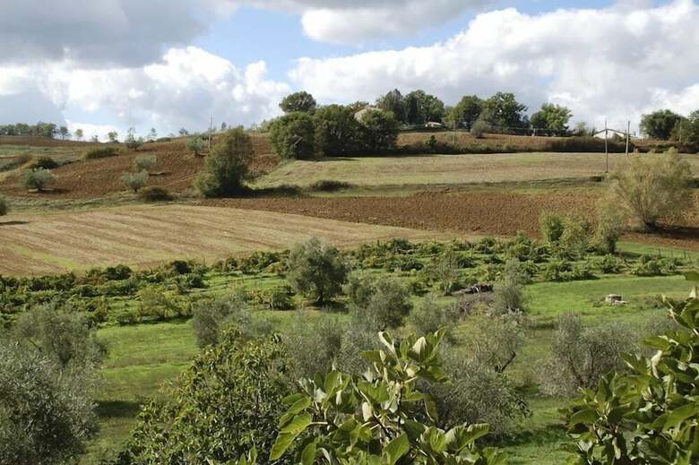 Verdidea - Podere Isabella