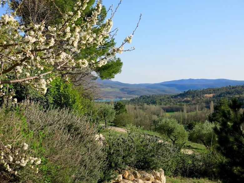 Hotel Chambres D'h�tes Les Oliviers