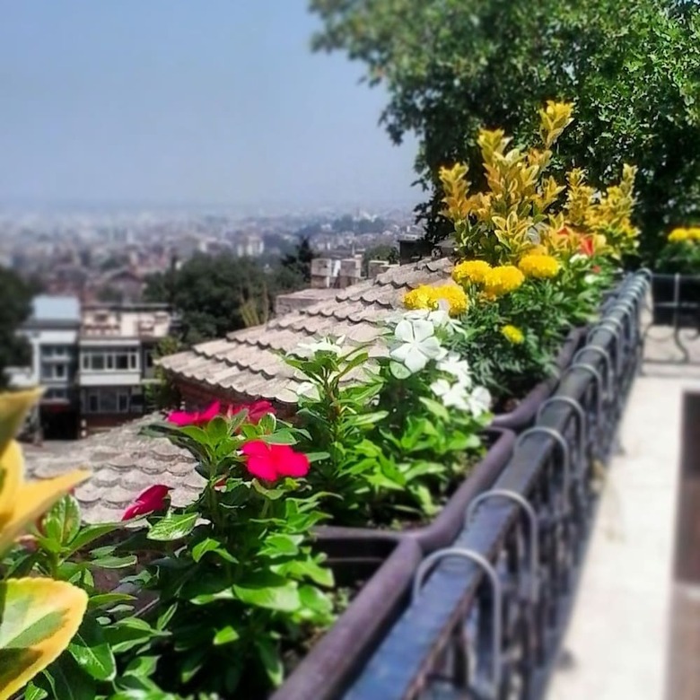 Hotel Tala Otel