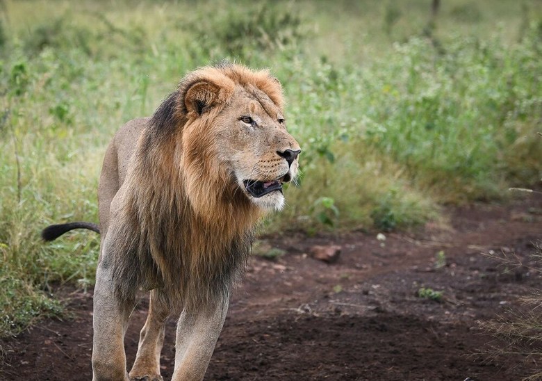 Mavela Game Lodge