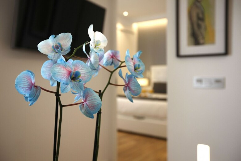 Apartamentos Angel Suite - Madflats Collection