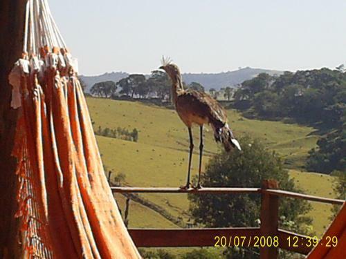 Hostal Pousada E Mini Fazenda Vila Davero