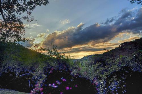 Chal� Do Lago