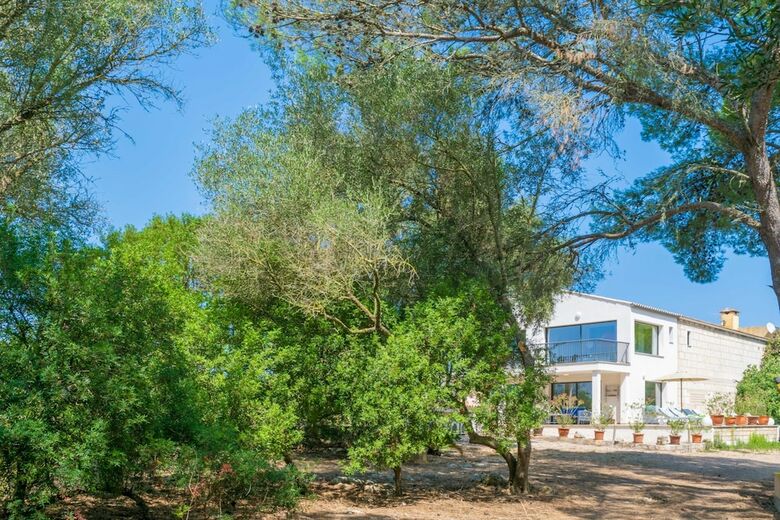 Villa Finca Son Baulo