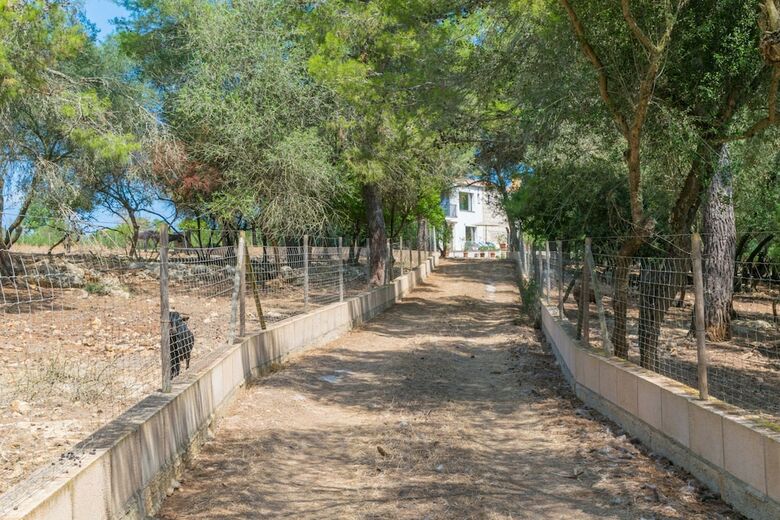 Villa Finca Son Baulo