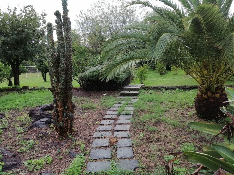Hotel Jolie Guesthouse