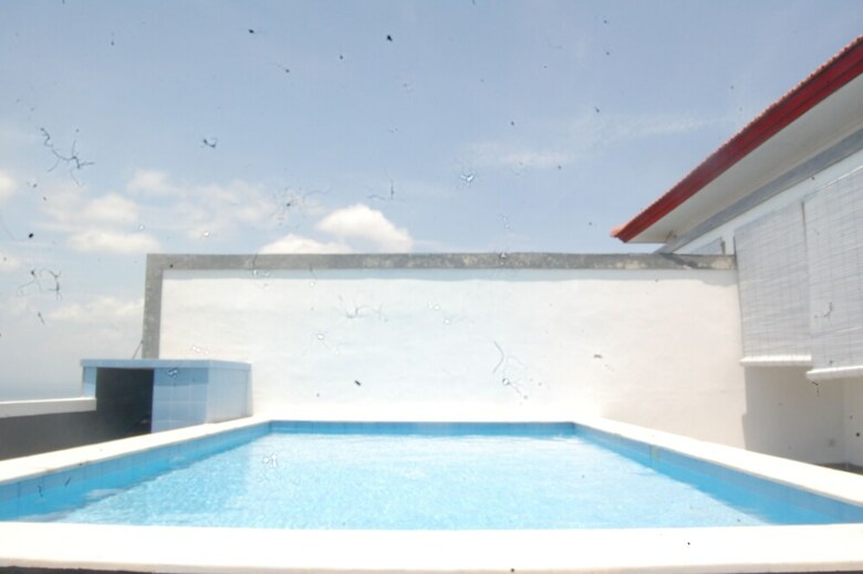 Hotel Uluwatu Suite's