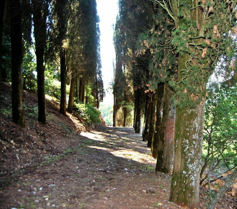 Apartamento Verdidea - Monte Santo & Torrino