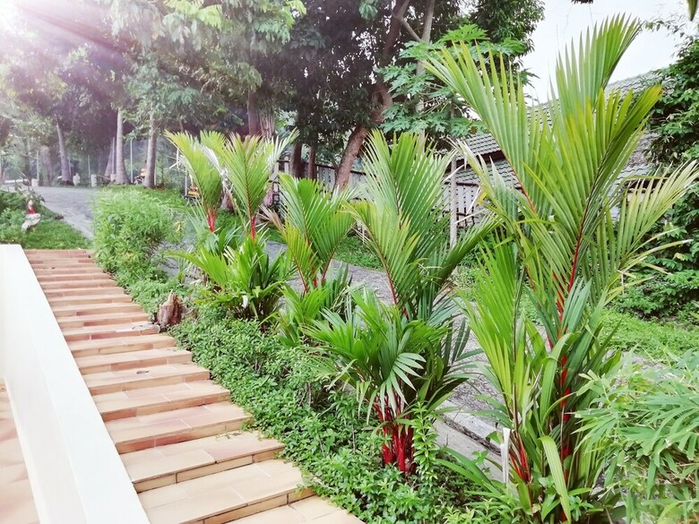 Hotel Baan Kawkaew Kata