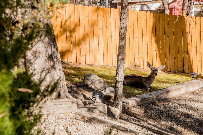 Posada Ruidoso Lodge Cabins