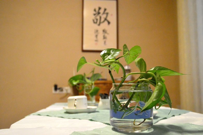 Hotel Pusu Guest House