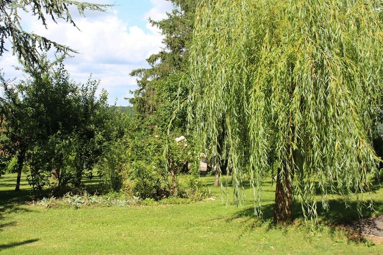 Bed & Breakfast Dans Le Jardin De Marie