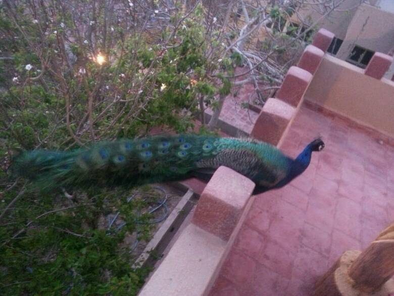 Hotel Oasis Dar Ouanou