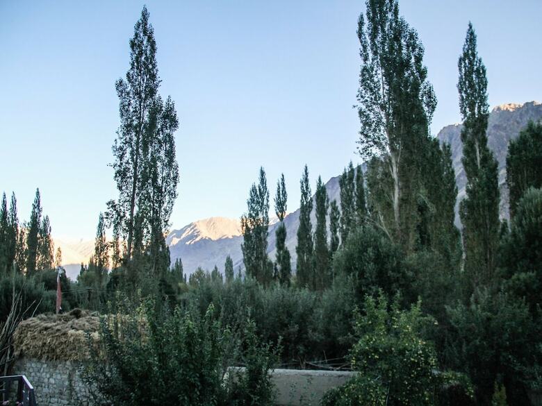 Hotel Goba Guest House