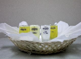 Hotel Aristos Puebla