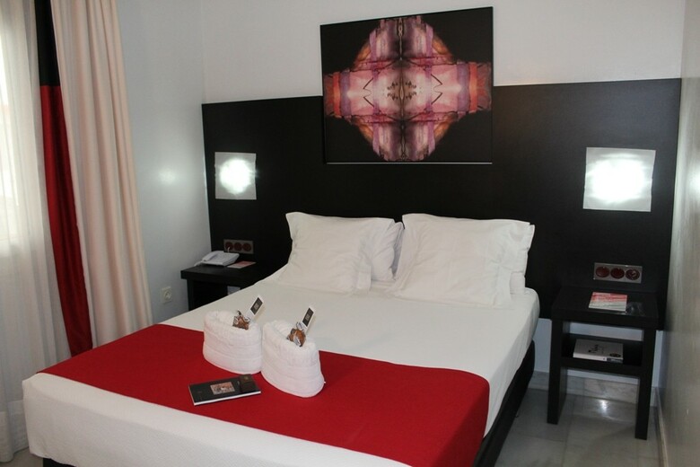 Hotel Del Pintor