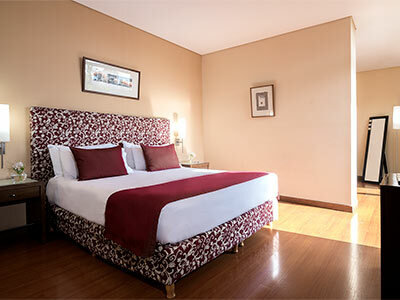 Hotel NH Mendoza Cordillera