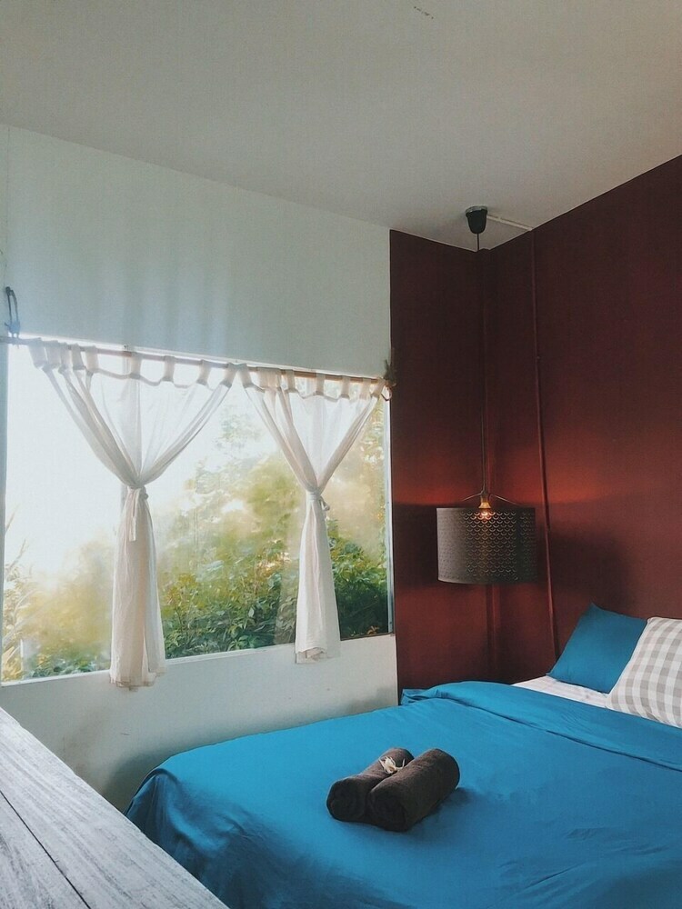 Hostal Lalaland Homestay - Hostel