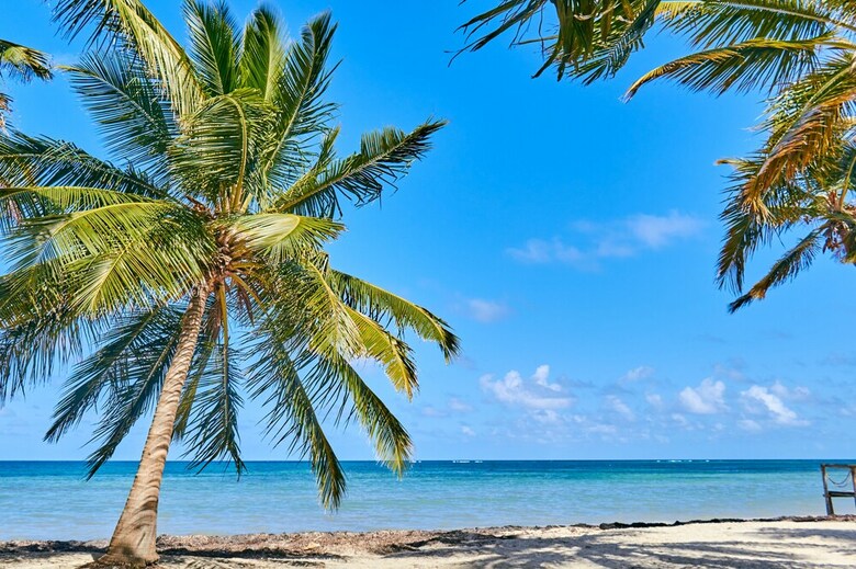 Aparthotel Everything Punta Cana - Los Corales