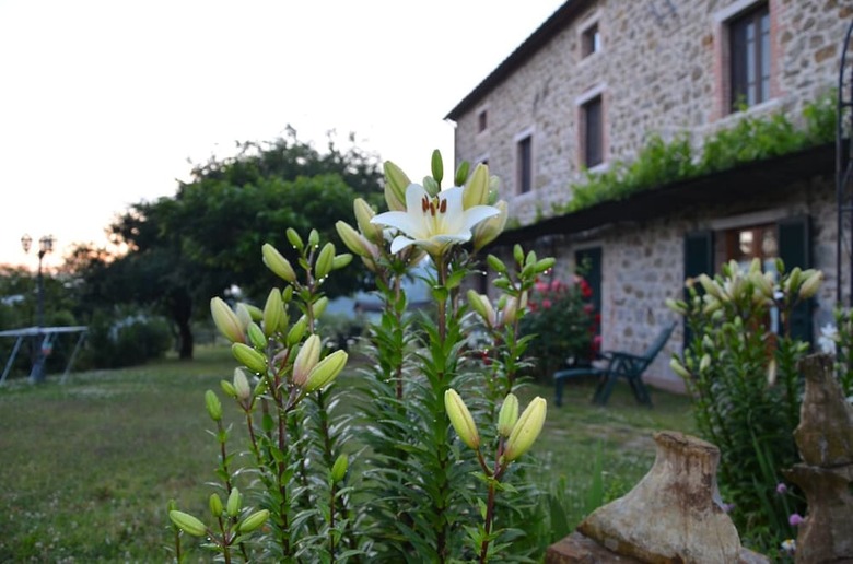 Agroturismo Agriturismo La Marianella