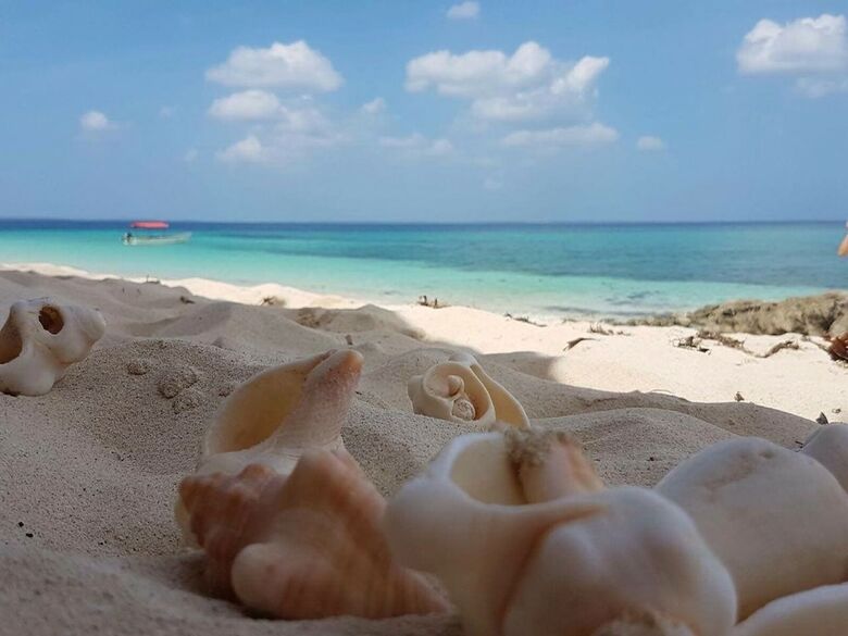 Hotel Amani Home Zanzibar