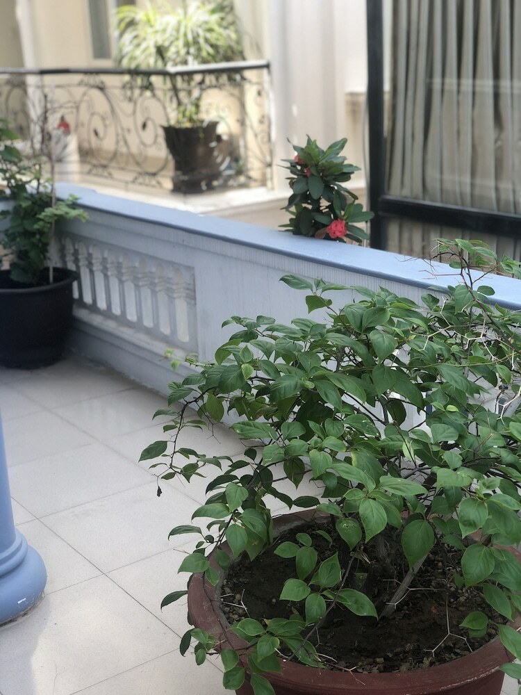 Hotel Eva Homestay