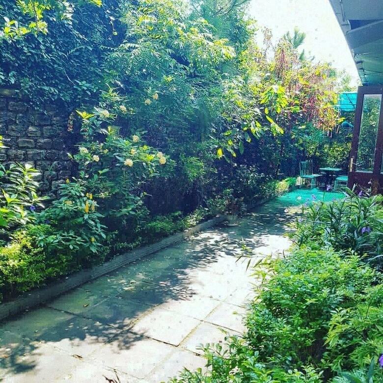 Hostal Hai Phong Woody Garden Hostel