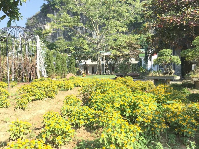Hotel Trang An Secret Garden
