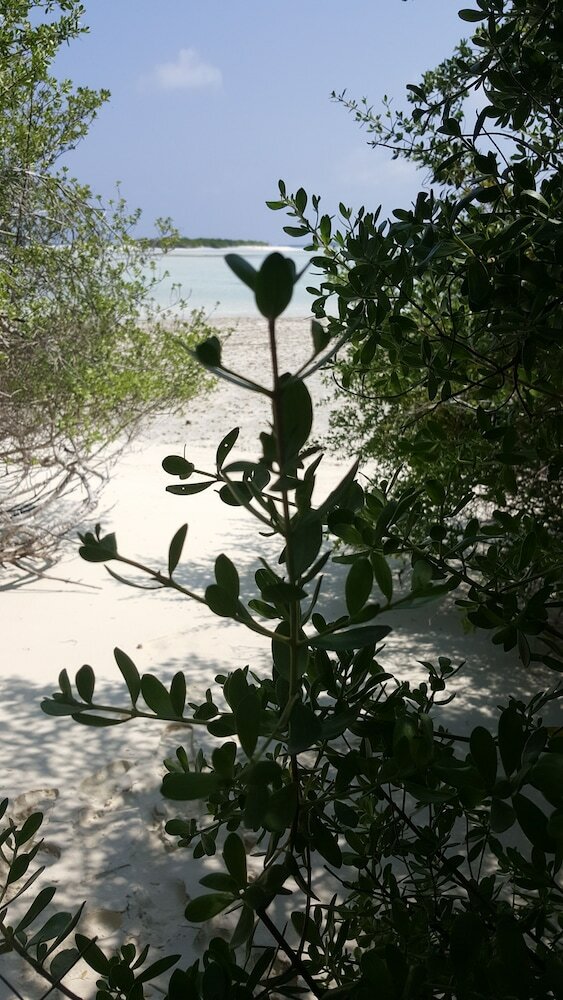 Hotel Quicksand Rasdhoo