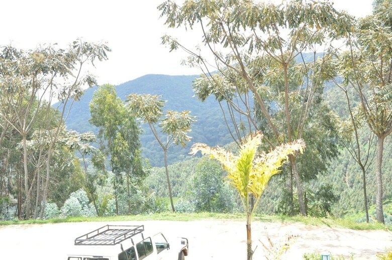 Posada Nyungwe Nziza Ecolodge