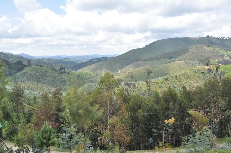 Posada Nyungwe Nziza Ecolodge