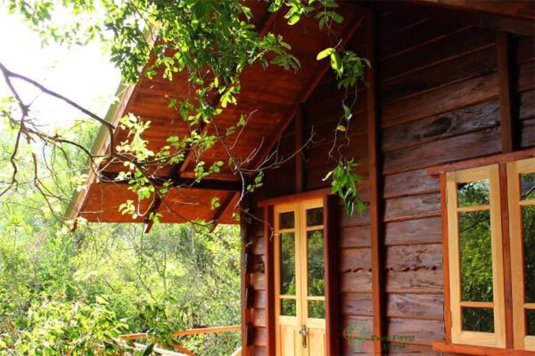 Cabana Thick Forest Sigiriya
