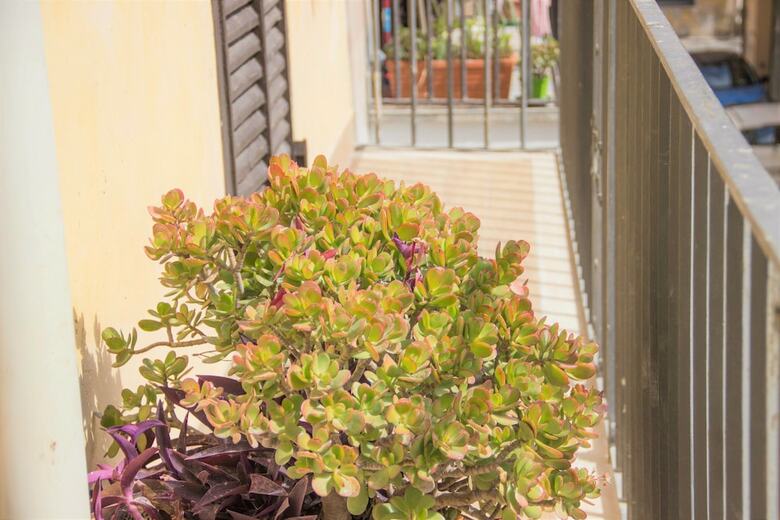 Apartamento Amazing View Vatican