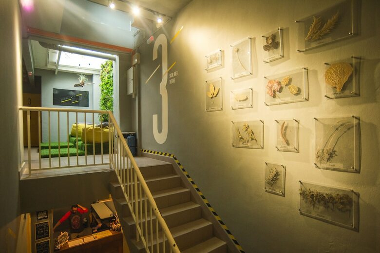 Hostal Traveller Bunker Hostel 1