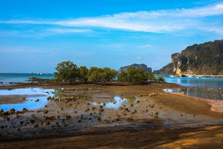 Hotel Villa Cha-cha Krabi Beachfront Resort