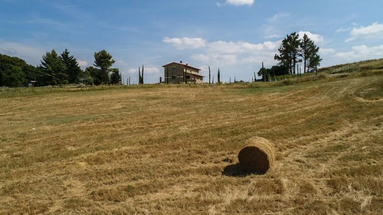 Verdidea - Villa Paloma