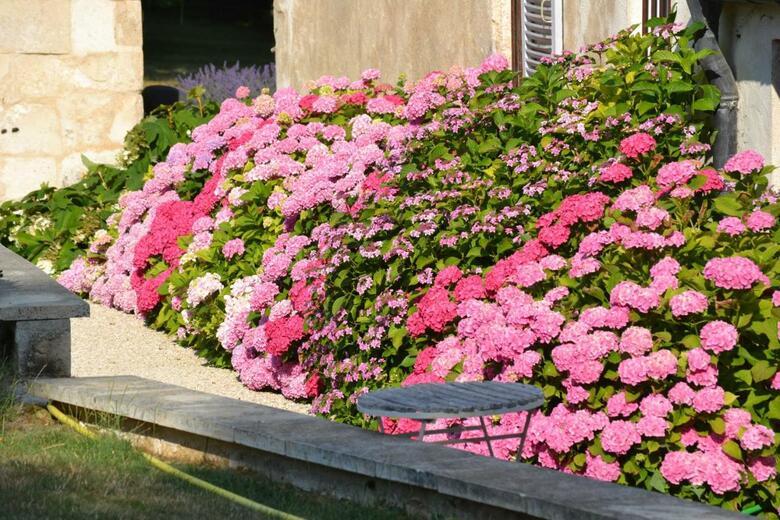 Hotel La Maison Du Potager de Mazi�res