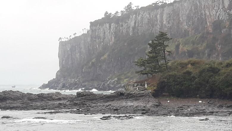 Jeju Nandere Log Pension