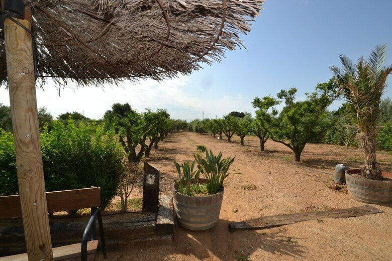 Villa Finca Miguel