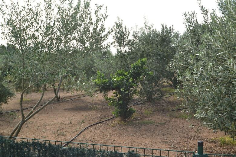 Villa Finca Miguel