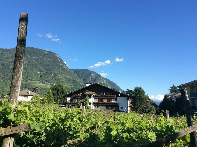 Pension Winzerhof