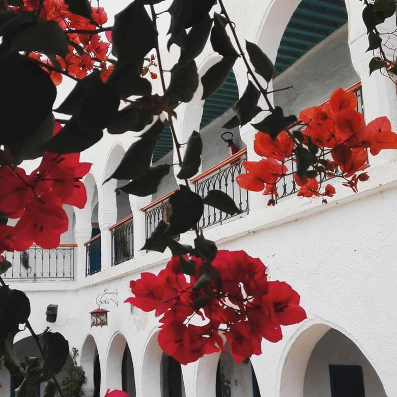 Hotel Arisha