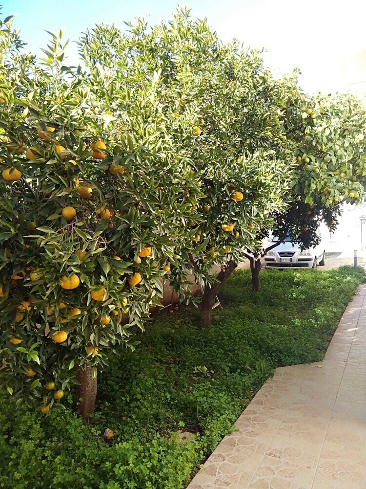 Bed & Breakfast Casa Di Frami