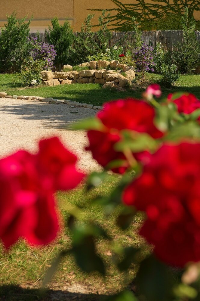 Villa Le Hameau de L'oliveraie